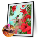 5D DIY Full Drill Diamond Painting Spiritual Bird Cross Stitch (B1050)