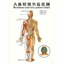 7pcs/set English Acupuncture Meridian Acupressure Points Posters Chart Wall Map