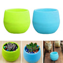 2x Succulent Pot Vase Herb Storage Box Cacti Plant Box Plant Container