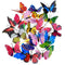 20 Pieces Garden Butterflies Stakes And 4 Pieces Dragonflies Stakes Garden