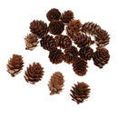 20pcs Pine Cones Party Decor Living Room Ornament Festival Favors