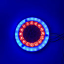 6.6" Round Red/Amber 56LED Truck Trailer Brake Stop Turn Signal Tail LightsB Ew