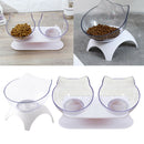 Set Of 2 Round Puppy Elevated Water Bowls Raised