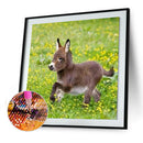 5D DIY Diamond Painting Donkey Full Round Drill Embroidery Home Decor Craft A
