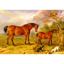 1000pcs DIY Horse Dog Manor Puzzle Educational Learning Assembling Toys