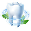 Activated Charcoal Whitening Toothpaste Polishes Teeth Freshens Breath