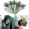 10pcs Real Natural Peacock Tail Eyes Feathers Wedding Party Decoration Fest K9S1