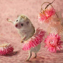 5D Diy Diamond Painting Full Drill Round Animals Cute Hedgehog Flower Dance