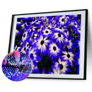 5D Chrysanthemum Full Round Drill Mosaic DIY Diamond Painting Drawing Craft