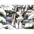 5D DIY Full Drill Diamond Painting Wolf Embroidery Mosaic Craft Kit Decor