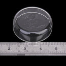 Acrylic Shrimp Feeding Food Dish for Aquarium Fish Tank Y8T5