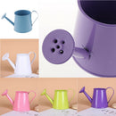 Pastoral Style Colorful Metal Tin Flower Pot Mini Bonsai Watering Can Blue
