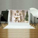 Digital Photography Background Cloth Studio Backdrop (Christmas Theme 6)
