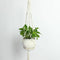 Braid Plant Hanger Indoor Outdoor Hanging Planter Basket Cotton Rope 4 Legs