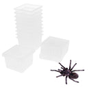 60 Pieces Insect Reptile Spider Terrariums Breeding Box Hatching Container