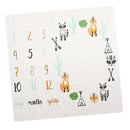 Fashion Toddler Newborn Baby Blanket Growth Photography Photo Props