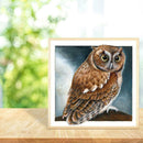 Gloryart 5D DIY Full Drill Diamond Painting Owl Embroidery Crafts Cross Stitch