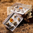 Rock and Mineral Collection in Specimens (6 Pieces)