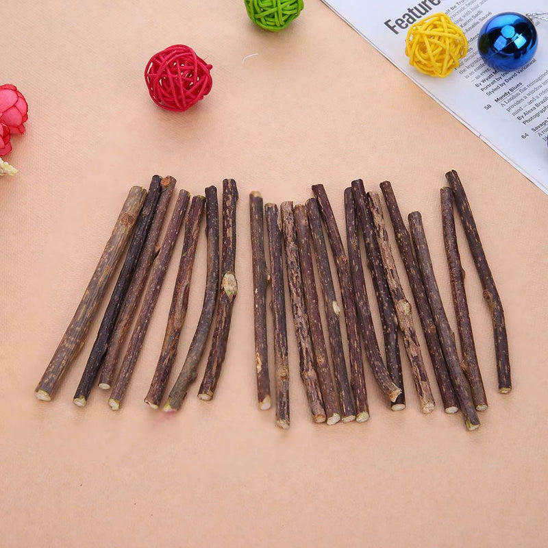 20pcs Natural Fruit Matatabi Cat Snacks Sticks Catnip Pet Cat Molar Rod A