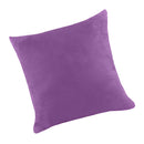 2x Decorative Velvet Both Sides Pillow Case Soft Suede
