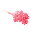 Simulation Succulents Plants DIY Edelweiss For Home Office Decoration Red