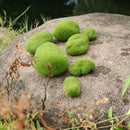 10x Mini Artificial Moss Balls Moss Stones Grass Turf Stones Fairy Garden C