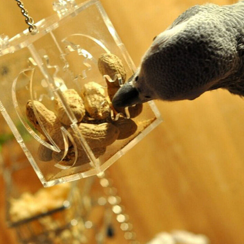 Parrot Bird Cage Feeder Hang Foraging Toys Pet Treat Hunt Macaw Cockatoo Budgie~