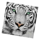 Full White Tiger 5D Diamond Painting Kit Embroidery Cross Stitch Arts Crafts