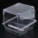 Window Bird Feeder For Small Birds Lovebirds