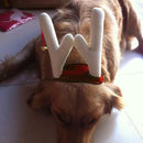 Christmas Pet Dog Headwear Reindeer Deer Antlers Headband With a Bell Size Large