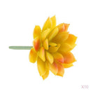 10Pcs Artificial Plastic Succulent Echeveria Flower DIY Microlandscape Decor