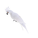 2x Red & White Parrot Statue Ornament Tree Standing Animals Sculpture Decor