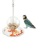 Pet Parrot Bird Cage Accessories Feeder Hanging Ball Forage Toys Pet Treats