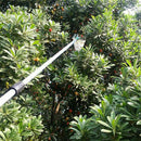 2pcs Garden Tools Fruit Picker Head Metal Fruit Picking Tools Fruits Catch AKH