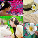 Beach Hawaii Ladies Egg Flower Hair Clip Luau Party Hairpin Headdress CTC