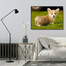 5D Diamond Painting Full Drill Puppy DIY Cross Stitch Pictures (WB031)