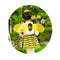 4Pc KIDS GIRLS BUMBLE BEE PARTY TODDLER FANCY DRESS COSTUME HEADBAND