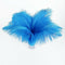 20 x natural ostrich feather 25-30cm blue decoration festivities V1S2