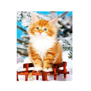 Cute Cat 5D Diamond Painting Cross Stitch Kit Home Decor Embroidery Craft