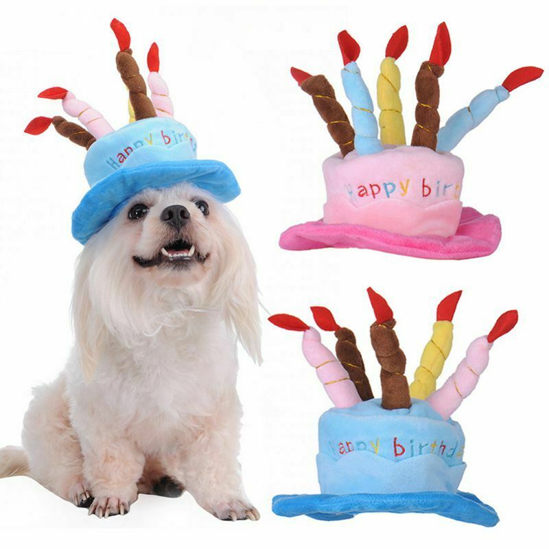 Dogs Pet Dog Birthday Caps Hat with Cake Candles Design Birthday Party Cost