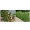 Garden Fence Expandable Faux Ivy Wood Vines Plant for Backyard Outdoor Decor