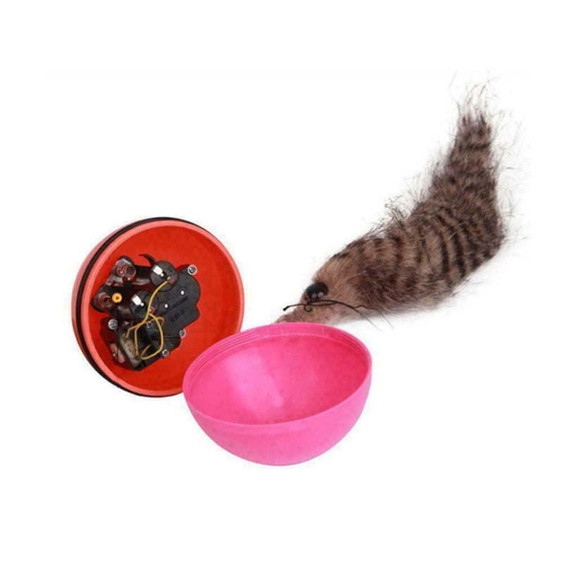 Best Cat Toys Interactive Teaser Chase Moving Weasel Battery Q0T7 Roll Ball J7Y6