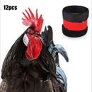 12pcs/pack No Crow Crow Reduction Collar for Roosters Chicken No Crowing