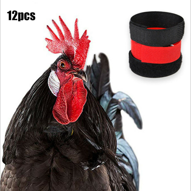 12pcs/pack No Crow Crow Reduction Collar for Roosters Chicken No Crowing