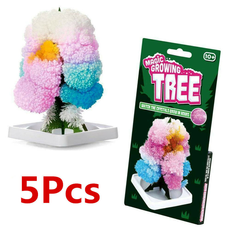 5PCS Magic Growing Tree Toys Boys Girls Kids Gifts DIY Christmas Stocking Filler