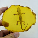 1X(Yellow Amber Gecko Amber Ornaments For Real Insect Specimens
