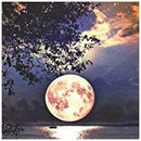 5D DIY Full Drill Diamond Painting Moon Embroidery Mosaic Craft Kit (z1563)