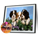 DIY Animal Cross Stitch 5D Full Drill Diamond Painting Wall Decor (C1402)