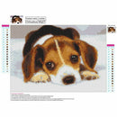 Full Square Diamond 5D DIY Diamond Painting "Dog" Embroidery Cross Stitch R