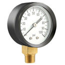 2X(Simmons 1305 0-100 Psi 1/4 inch Well Pump Water Pressure Gauge Ts50-100P